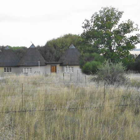 Van Zylsvlei - A Karoo Guest Farm Colesberg Εξωτερικό φωτογραφία